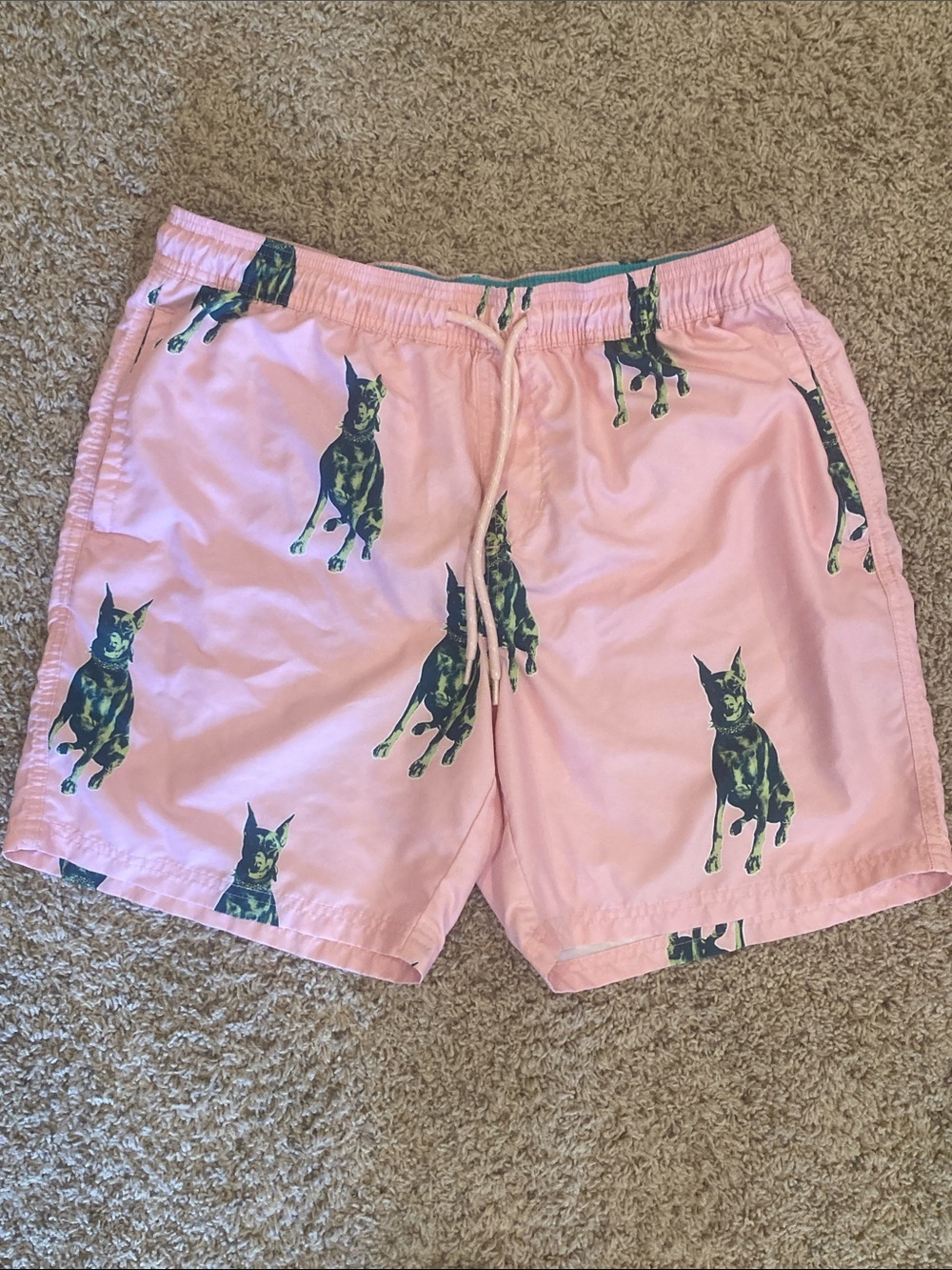 No Boundaries Pink and Teal Elastic Swim Shorts